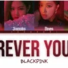 Dibawah ini terdapat lirik lagu BLACKPINK yang berjudul Forever Young versi Korea. Lirik lagu BLACKPINK - forever Young ini terdapat versi romanized,  hangul, dan terjemahan.