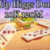 Murah Banget! Ini Cara Top Up Higgs Domino 10k 120m Chip