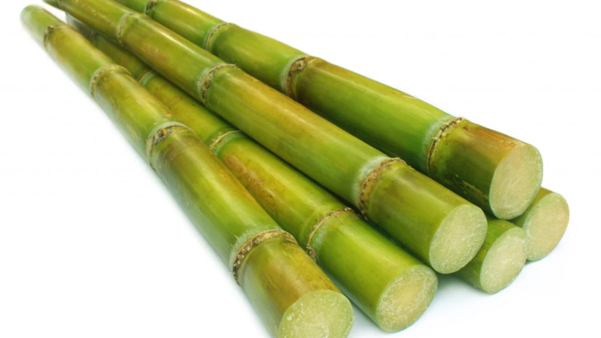 4 Kandungan Sugar Cane Yang Perlu Kamu Tahu