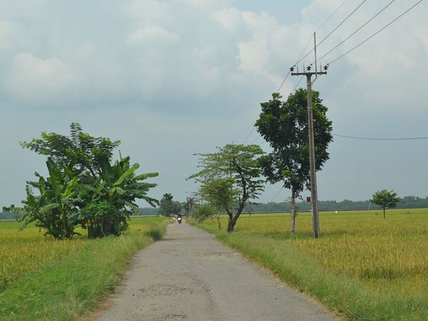 Arti Nama Desa Kudangwangi, Salah Satu Daerah di Ujungjaya Sumedang