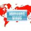 Indonesia Waspada, Tingkat Kematian Akibat Virus Marburg Capai 90%