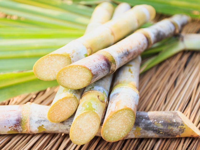 7 Manfaat Alami Sugar Cane Bisa Atasi Jerawat Meradang