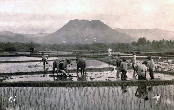 Sejarah Tanjungsari Sumedang