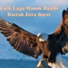 Lirik Lagu Daerah Jawa Barat Manuk Dadali Lengkap Dengan Artinya!