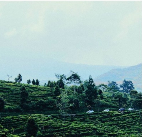 Wisata alam yang aestetik di Garut, tempat healing nyaman