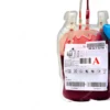 Sambut Hari Palang Merah Internasional Lewat Aksi Donor Darah