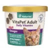 Jangan Khawatir, Berikut Vitamin Ampuh untuk Meningkatkan Nafsu Makan Kucing Anda
