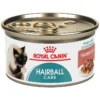 Tak Hanya Enak, Royal Canin Hairball Makanan Kucing Kaleng Juga Bermanfaat untuk Kesehatan Kucing Anda