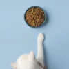 Rekomendasi Makanan Kucing Mahal, Sudah Sampai Ke Luar Negeri?
