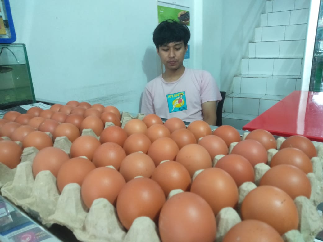 Harga Telur Melambung Rakyat Binggung