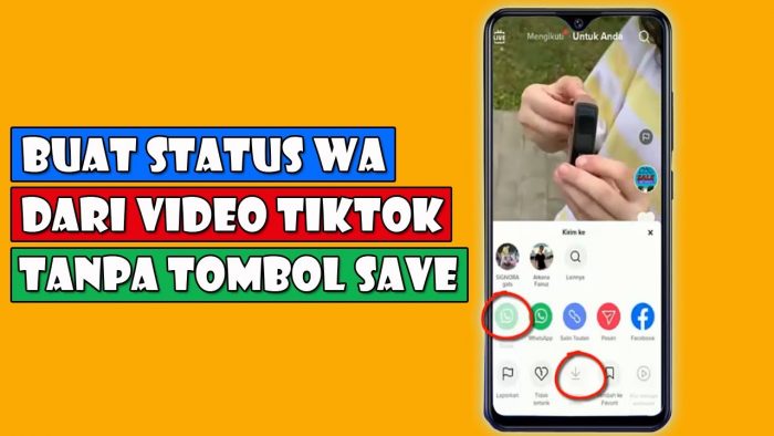 Cara Download Video Tiktok Tanpa Watermark Untuk Status WA dan IG