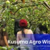 Serunya Bukan Main, Petik Buah Segar di Kusuma Agrowisata Kota Batu : Simak Juga Jam Buka dan Harga Tiket Masuknya