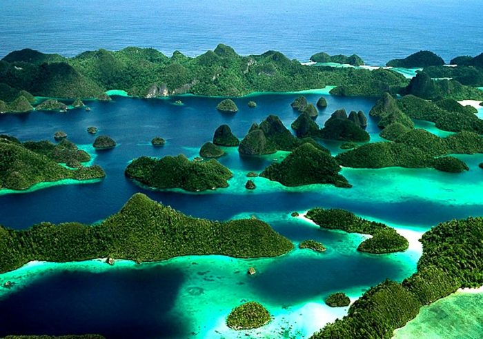 Kepulauan Raja Ampat Terletak di Mana? Simak Penjelasannya Disini : Asal Mula, Kekayaan Alam dan Surganya Para Penyelam
