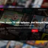 Pembahasan Lengkap Netflix Web, Tempat Nonton Drakor, Anime Dan Action