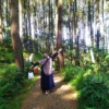 Keindahan yang Memanjakan Mata Dengan Suasana Tumbuhan Hijau: Menikmati Pesona Wisata Bukit Bintang Yogyakarta