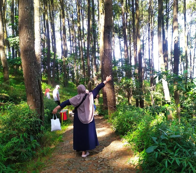 Keindahan yang Memanjakan Mata Dengan Suasana Tumbuhan Hijau: Menikmati Pesona Wisata Bukit Bintang Yogyakarta