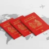 Singapura Tuh Juara Banget, Deh! Dikenal Sebagai Pasport Terkuat Di Dunia