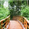 Eksplorasi Hutan Bambu Dan Jalan Setapak Di Alam Terbuka Sumedang.