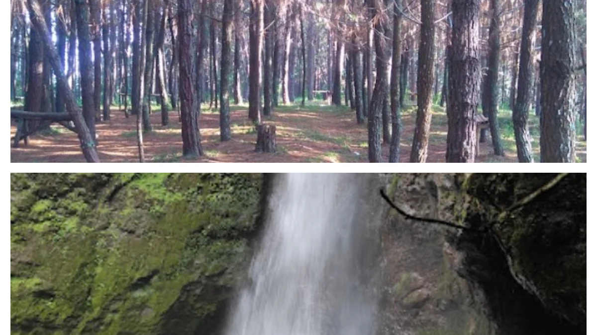 Eksplorasi Air Terjun dan Hutan Pinus di Daerah Sumedang