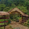 Wisata Pegunungan Kota Bogor Jawa Barat, Tempat Yang Pas Untuk Hangout Bareng Pacar