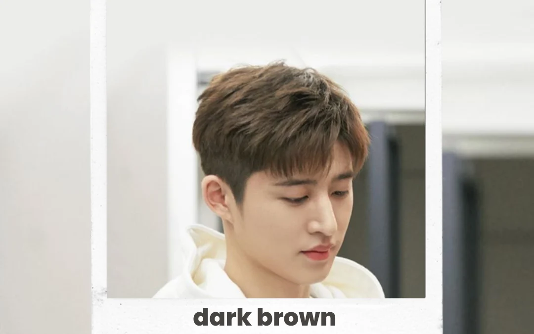 Dark Brown : Ide Warna Rambut Pria Menampilkan Maskulinity