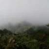 Eksplorasi Kawasan Hutan Cagar Alam di Sumedang, Gunung Cakrabuana