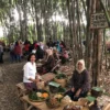 Sensasi Belanja di Tengah Hutan Bambu Sumedang, Pasar Leuweung Digelar 3 Bulan Sekali Jadi Jangan Sampai Kelewatan ya