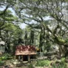 Staycation Dengan Nuansa Hutan Lindung Sumedang Cocok Untuk Kalian Yang Suka Alam