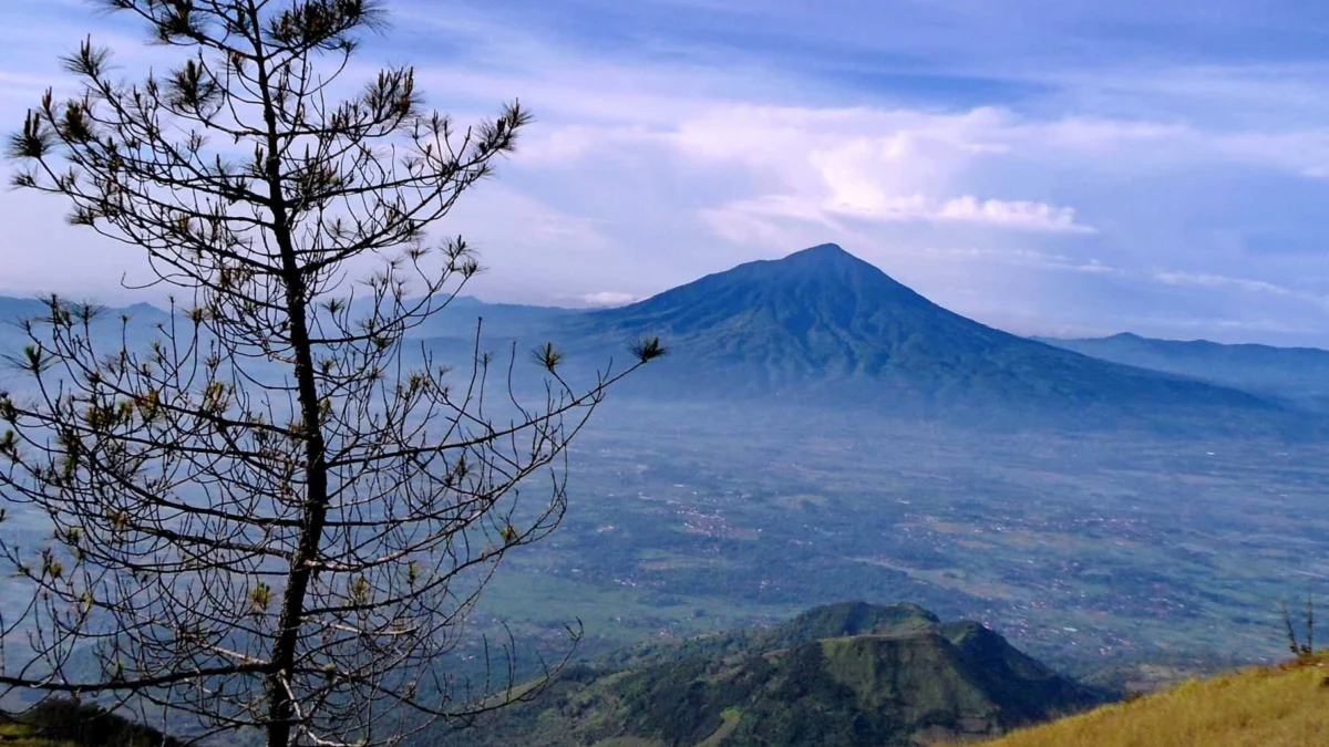 Menikmati Pesona Gunung Cikuray, Keindahan dan Tantangan Pendakian di Jantung Jawa Barat