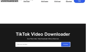 DownloadGram Tik Tok: Website Buat Download Tik Tok Secara Gratis dan Tanpa Watermark