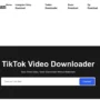 DownloadGram Tik Tok: Website Buat Download Tik Tok Secara Gratis dan Tanpa Watermark