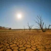Menghadapi Tantangan Perubahan Iklim di Sumedang