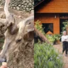 Penginapan Terdekat dan Spot Terbaik di Wisata Edukasi Kebun Binatang Pertama Sumedang!