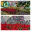 Daya Tarik Jans Park Jatinangor Sumedang, Ada Taman Bunga Terbaik di Sumedang