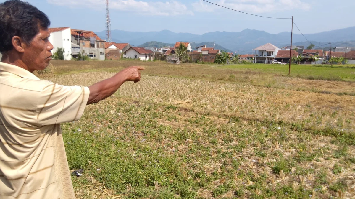 Petani Sawah Tadah Hujan Harapkan Pembangunan Irigasi