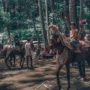 Tarian Megah Kuda Renggong Memeriahkan Syukuran Khitanan dengan Sentuhan Tradisi