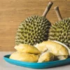 9 Macam Durian yang Populer, Menjelajahi Ragam Durian yang Menggoda Selera