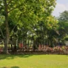 Taman Tebuya Bikin Kita Ceria Destinasi Wisata Alam Dekat Kota Depok