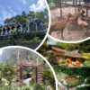 Wisata Kampung Karuhun Eco Green Park Sumedang Per-Agustus Nuansa Alamnya Bikin Wisatawan Betah