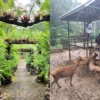 Review Liburan di Kampung Karuhun Eco Park Sumedang Cocok Buat Healing Bareng Keluarga