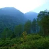 Nikmati Keindahan Hutan Pinus Wisata Alam Pegunungan Cakrabuana Sumedang