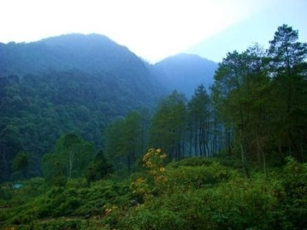 Nikmati Keindahan Hutan Pinus Wisata Alam Pegunungan Cakrabuana Sumedang