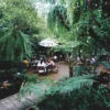 Lezatnya Wisata Kuliner: Menikmati Keindahan Alam dan Sajian Kuliner di Restoran Hutan Bambu dan Kebun Anggrek Tanjung Medar, Sumedang