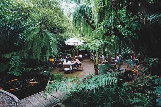 Lezatnya Wisata Kuliner: Menikmati Keindahan Alam dan Sajian Kuliner di Restoran Hutan Bambu dan Kebun Anggrek Tanjung Medar, Sumedang