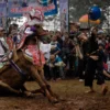 Kuda Renggong Simbol Budaya Ciri Khas Jawa Barat