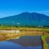 Pemanfaatan Sumber Daya Alam di Gunung Jawa Barat