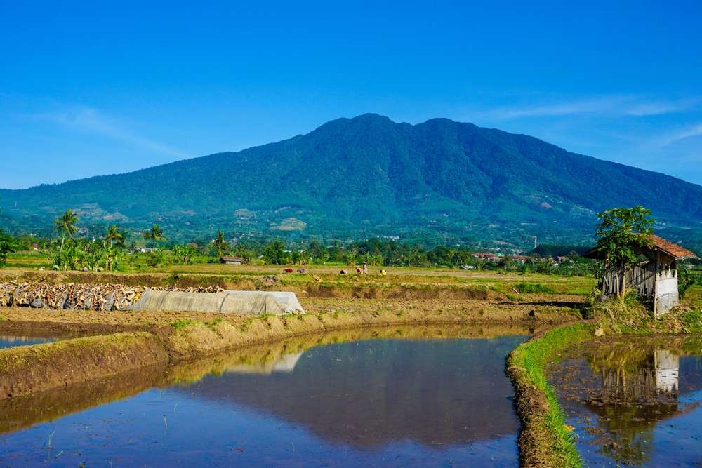 Pemanfaatan Sumber Daya Alam di Gunung Jawa Barat