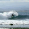 Gunakan Magic Seaweed Untuk Ramalan Ombak Sebelum Surfing di Pangandaran, Temukan Ombak yang Pas Dengan Kemampuanmu