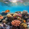 Warna-Warni dan Keindahan Great Barrier Reef, Pemandangan Bawah Laut Yang Bisa Kamu Temui Bukan Hanya Dongeng Belaka!