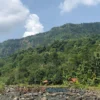 Agrowisata Sumedang Jadi Satu-Satunya Data Tarik Unik JABAR? Inilah 5 Wisata Unik Sumedang Jawa Barat